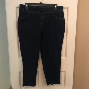 Terra & Sky navy blue denim jeggings 1X (16W-18W) petite